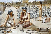 Un dessin de deux femmes amérindiennes préparant le maïs devant un champ.