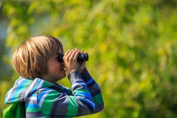 A kid in nature looking in binocular