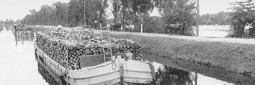 Tow horses at work with barges loaded with wood logs near Lock No. 9 on the Chambly Canal, ca. 1914. (Pa-085731)