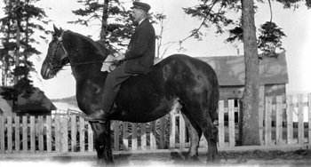 Cart driver and his horse at Grosse Île