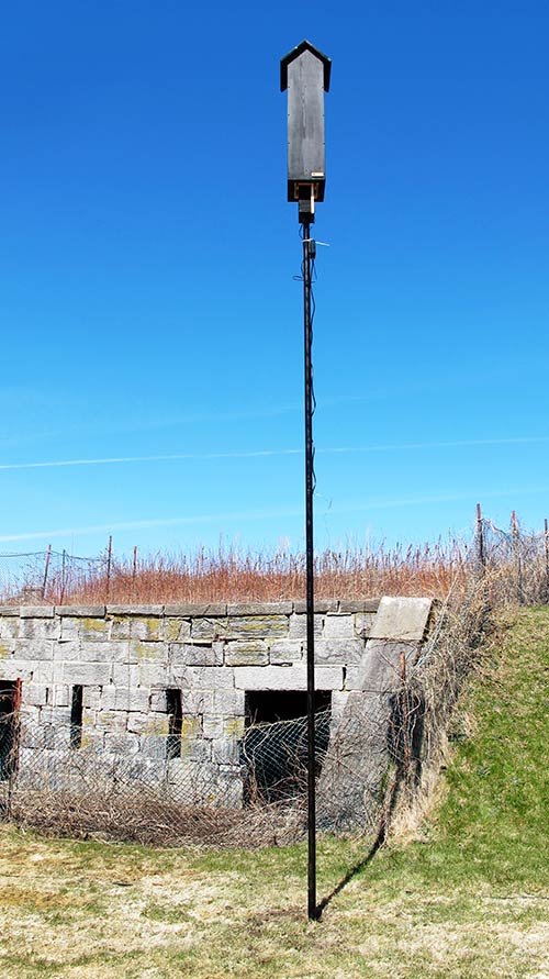 A bat nesting box in front of an old stone building