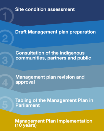 Management planning steps