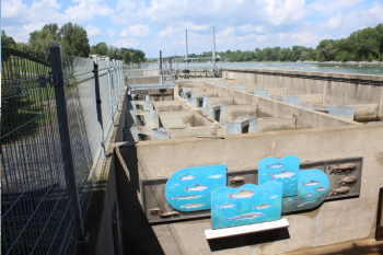 The Vianney-Legendre fishway made in concrete 