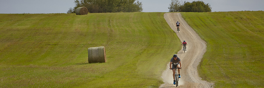 Three people on bikes racing down a gravel road.