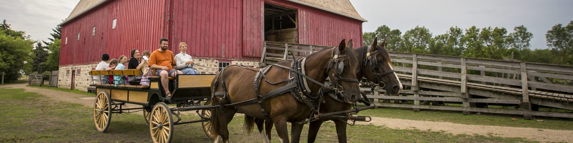 Un attelage de chevaux tire un chariot rempli de visiteurs près de la grosse grange rouge au lieu historique national du Homestead-Motherwell.