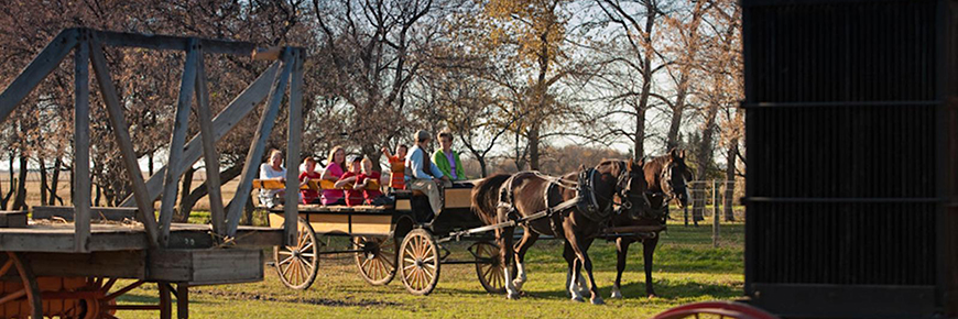 A group of visitors are on a wagon being pulled by horses.