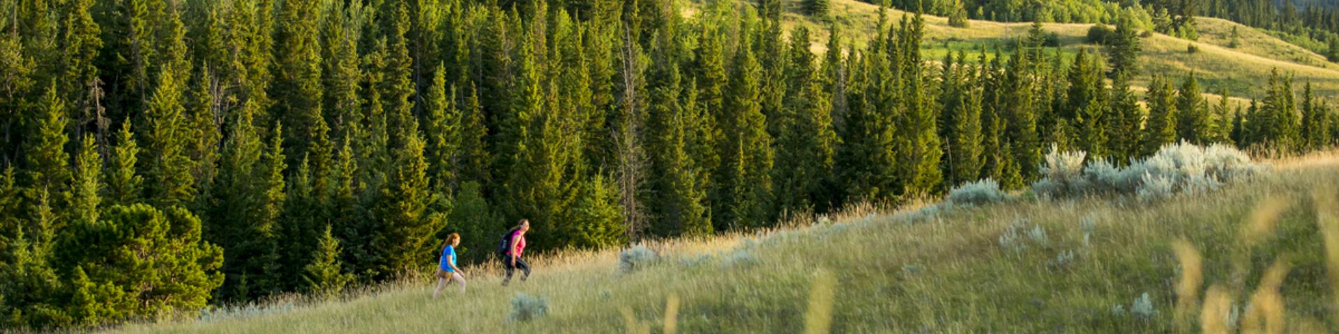 Two hikers walking in the Cypress Hills at Fort Walsh National Historic Site.