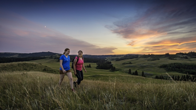 Two hikers walking in the Cypress Hills at Fort Walsh National Historic Site at dusk.