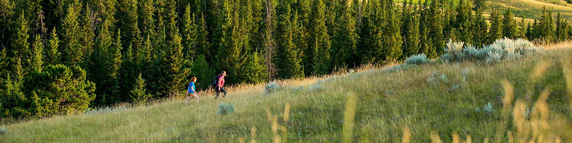 Two hikers walking in the Cypress Hills at Fort Walsh National Historic Site.