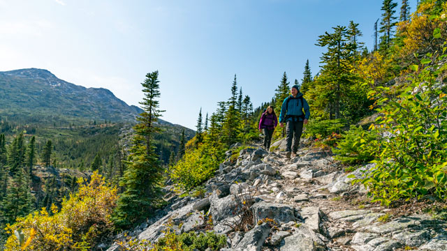 Two hikers walking on a trail
