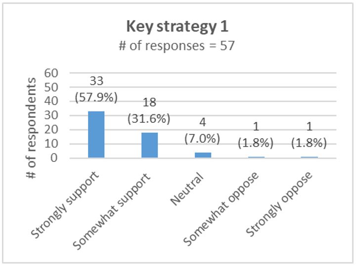 Graph 5 — Key strategy 1. Text version follows.