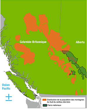 Distribution de la population des montagnes du Sud du caribou des bois
