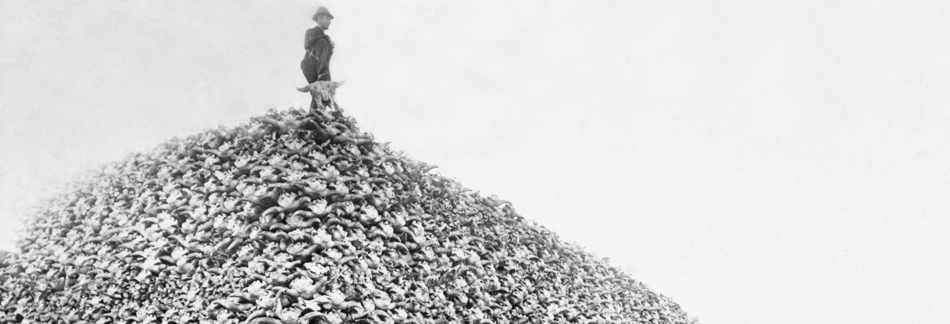 An aged photograph depicts a man in a top hat standing on top of a mound of bison skulls. 