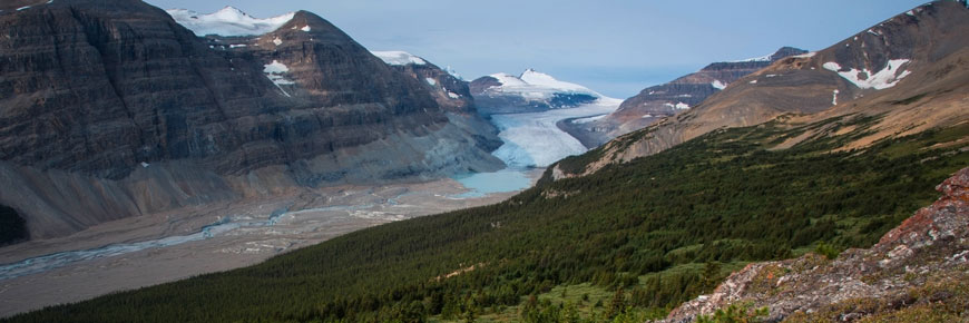 La vue du glacier Saskatchewan du chaînon Parker