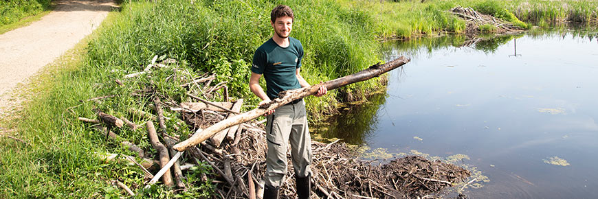 Parks Canada staff remove beaver dams from key drainage systems in the park.