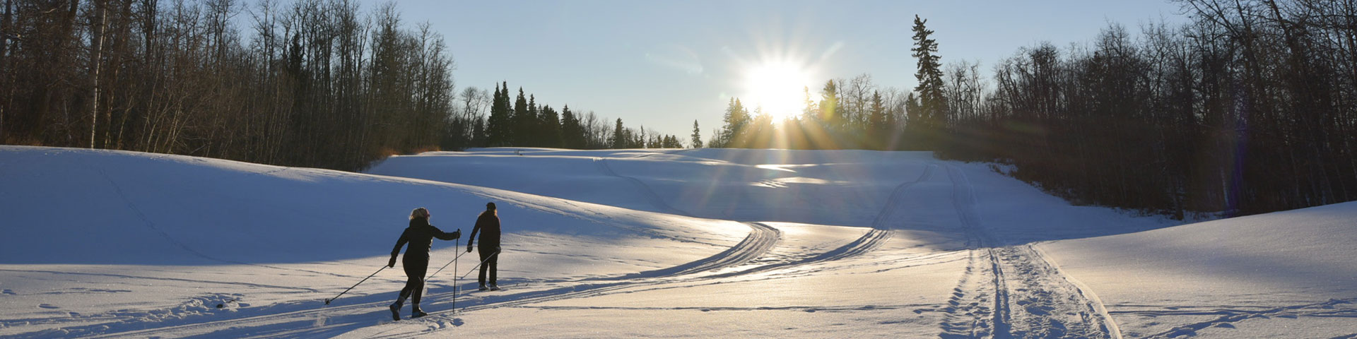 A cross country skier travels downhill on a groomed track as the sun begins to set at the end of a winter day.