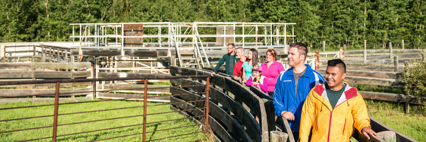 A line of people stand on the catwalk of a corral. 