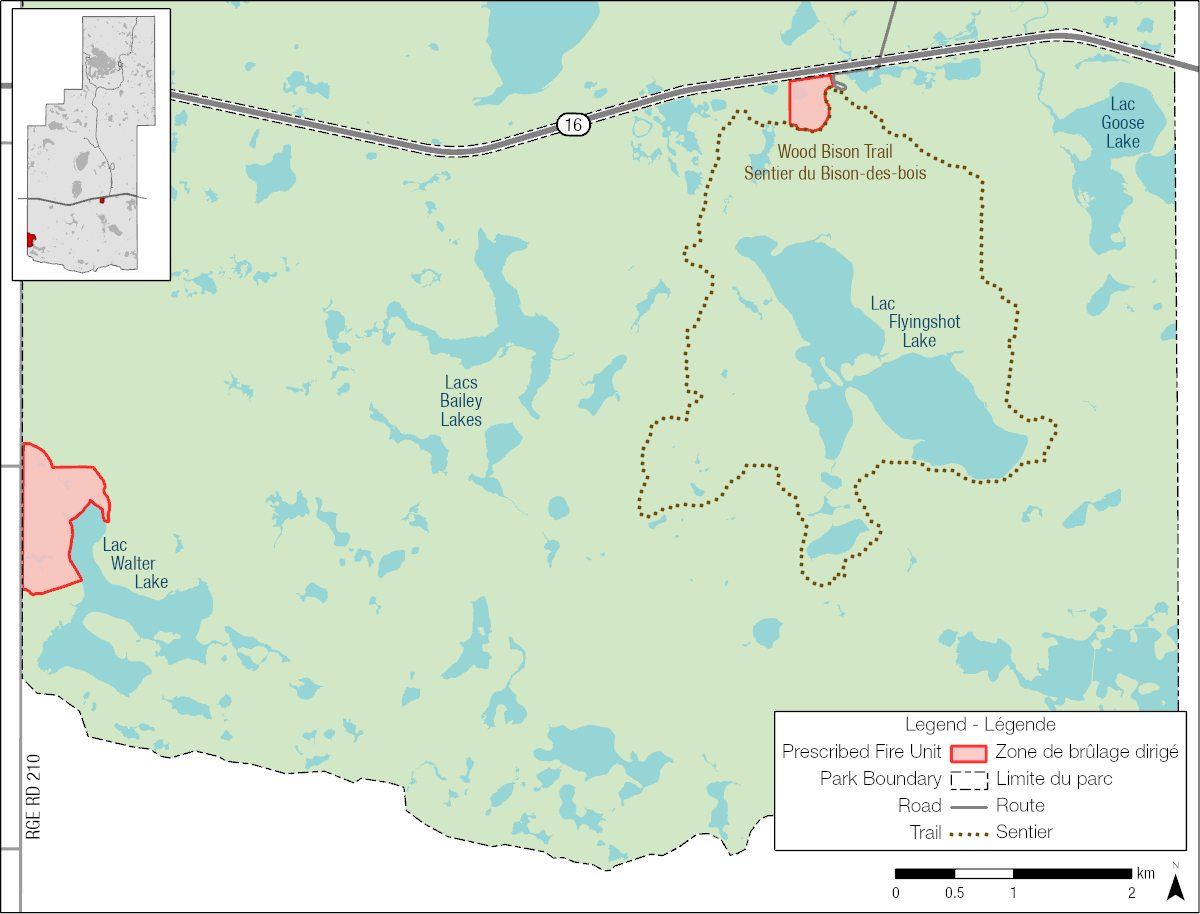 Fire - Elk Island National Park