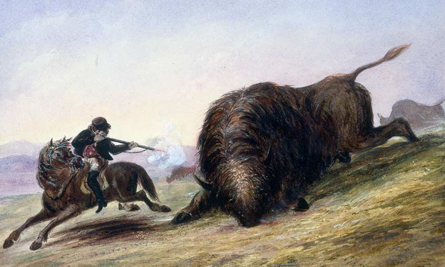 Colour sketch of a man on horseback twisting around behind him to shoot at a massive bison bull with a long gun. 