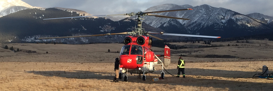 Un hélicoptère utilisé pour transporter des bisons a atterri dans un pré de montagne 