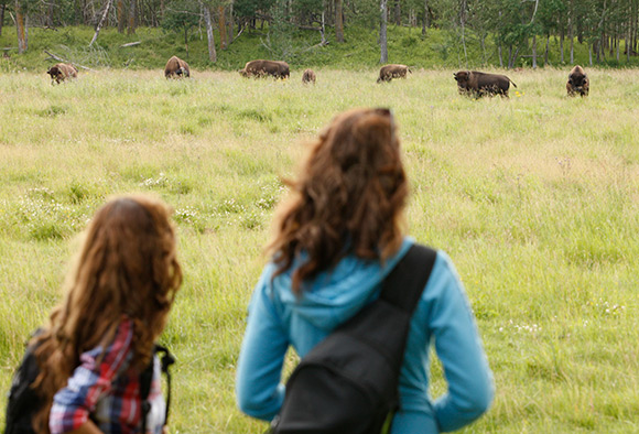 Two young women look out onto a field with bison grazing in the distance. 