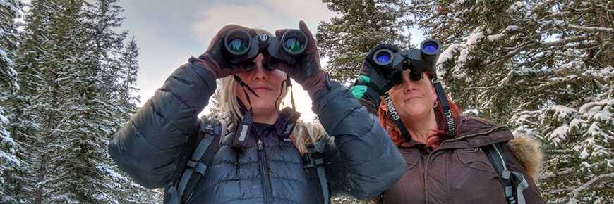 Two visitors looking through binoculars