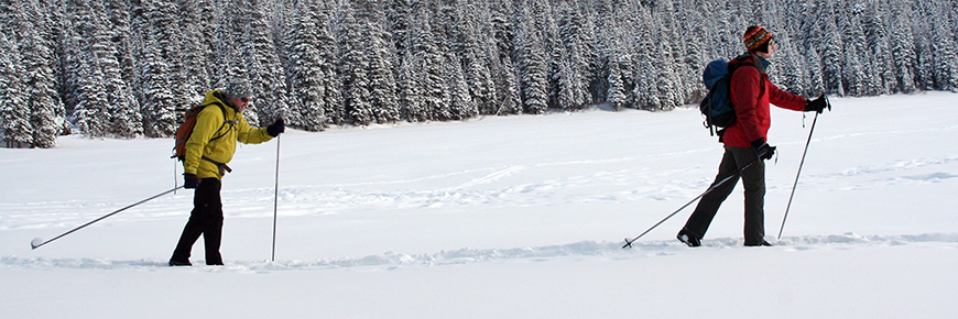 Two adult cross-country skiers near Cameron Lake in Waterton Lakes National Park