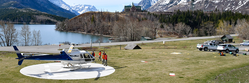 Parks Canada staff approach a helicopter waiting on a landing pad in a spring field. 