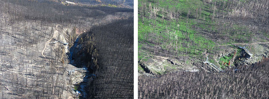 Comparaisons de certains secteurs touchés par le feu de Kenow : une photo datant de septembre 2017 et une autre de juin 2018, vallée Blakiston.