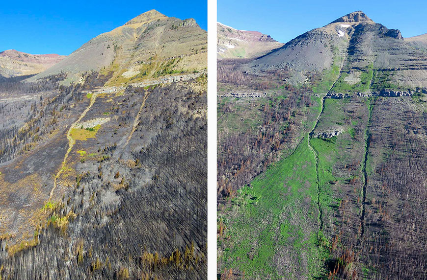 Comparaisons de certains secteurs touchés par le feu de Kenow : une photo datant de septembre 2017 et une autre de juin 2018, Couloir d’avalanche de Lost Mountain.