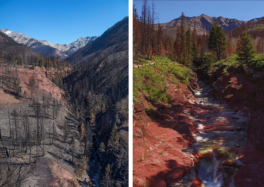 Comparaisons de certains secteurs touchés par le feu de Kenow : une photo datant de septembre 2017 et une autre de juin 2018, Canyon Red Rock.