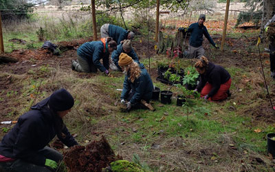 Group of employees and volunteers planting native plants in deer exclosure.