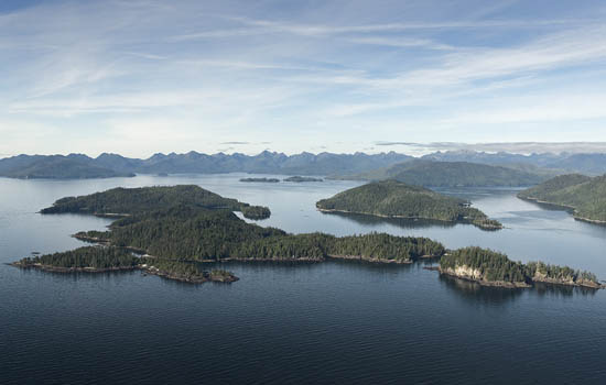 Gwaii Haanas is undertaking a multi-year Action on the Ground project to restore ecologically and culturally significant seabird colonies on remote islands like Murchison and Faraday.