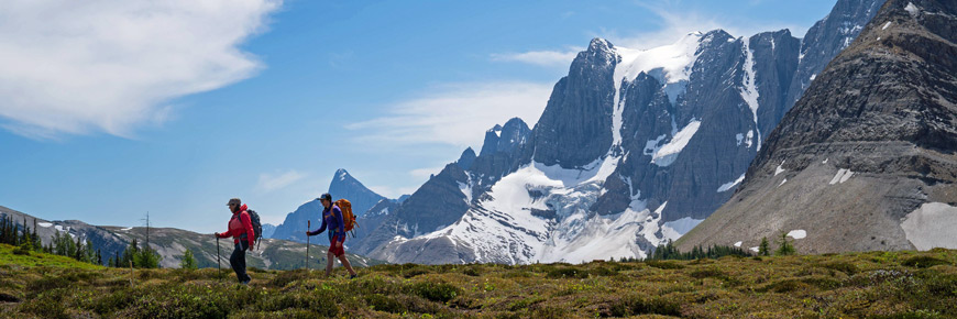 Two hikers travel across a meadow with mountains and glaciers behind them