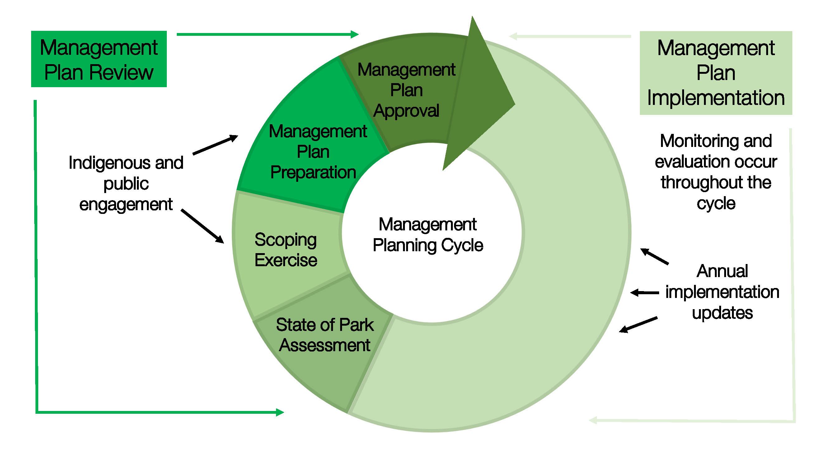 Diagram of management plan review process.