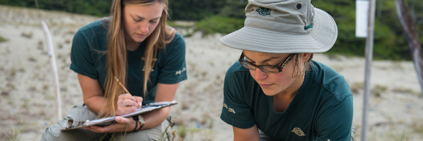 Two Parks Canada employees counting plants in sand dunes.