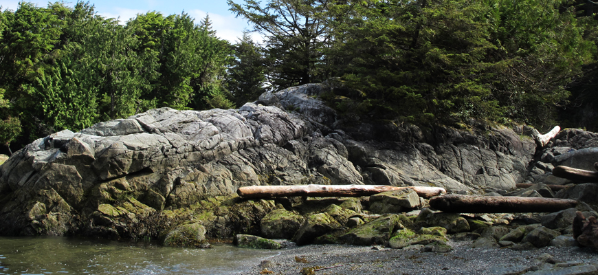 Rocky Shoreline with Sitka Spruce trees.