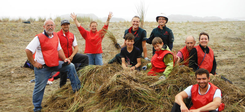 Volunteers on top of invasive dune grass on the beach.