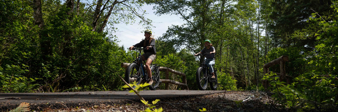 Two people riding bicycles along a forested pathway