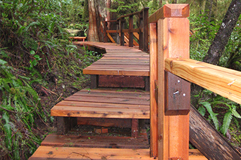 New cedar boardwalk and stairways on a forest trail