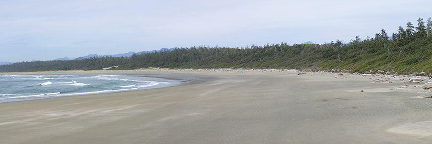 Plage Wickaninnish, plage de sable avec montagnes en arrière-plan.