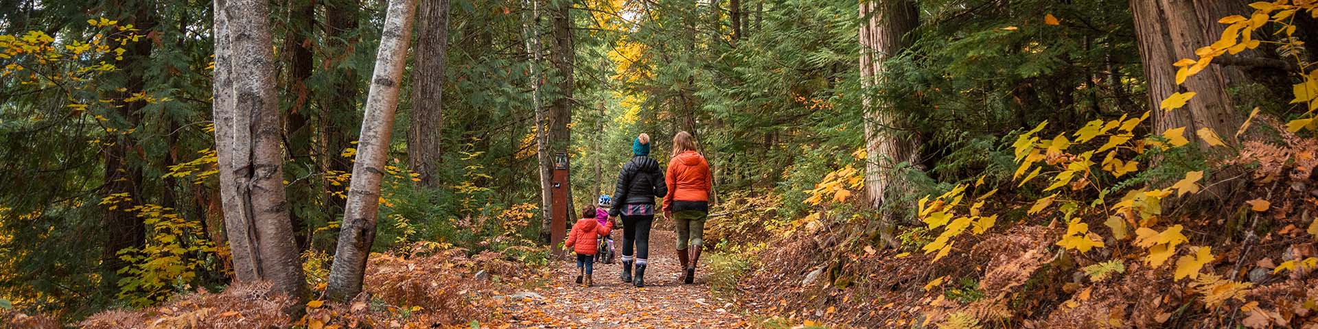 Small Family hiking in the woods