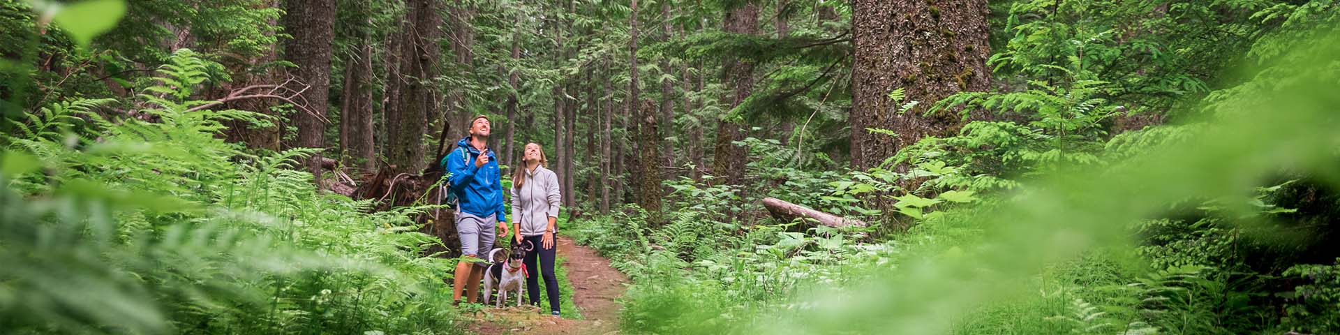 two people and a dog hiking in a forest