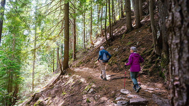 Deux randonneurs marchant sur un essai à travers une forêt ensoleillée