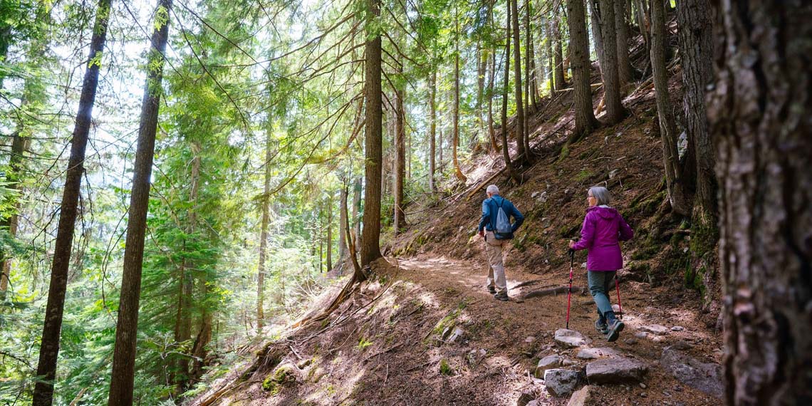 Lower Mount Revelstoke - Mount Revelstoke National Park