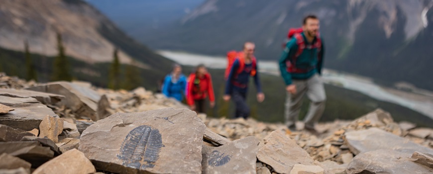 hikers passing fossils on a trail