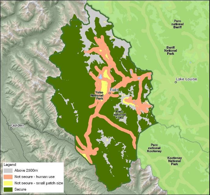 Figure 2: Grizzly bear habitat security model for Yoho National Park 