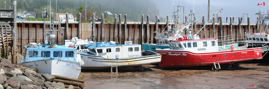 Des bateaux de pêche du quai du village d'Alma reposant sur le sol de l'océan à marée basse