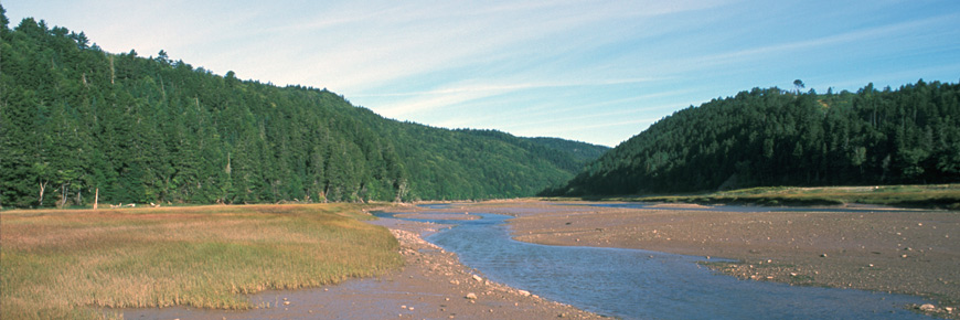 Upper Salmon river