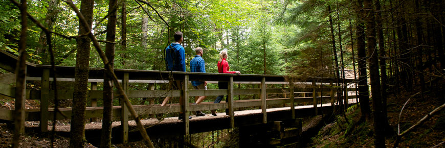 Hikers crossing bridge on Dickson falls trail